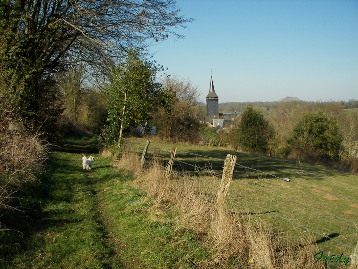 Notre Dame du Hamel, balade du Bois Hibou 20090320_069