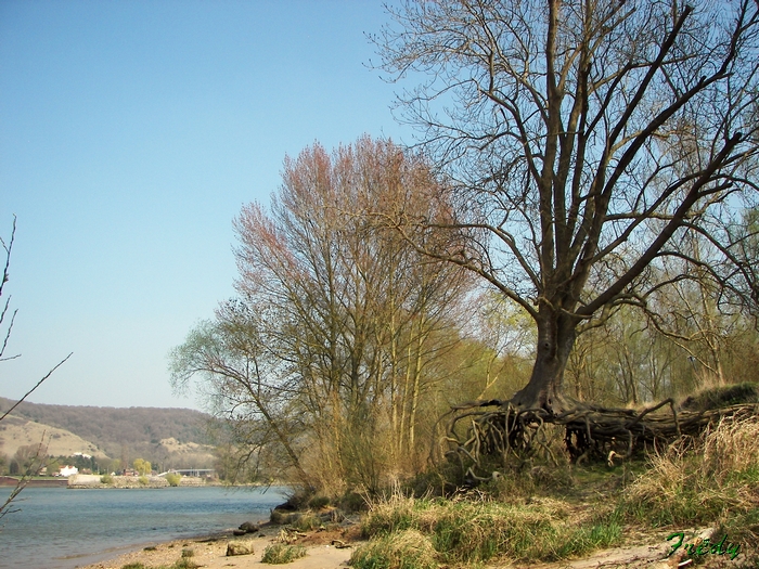 La Côte des Deux Amants, avec OVS 20090401_087