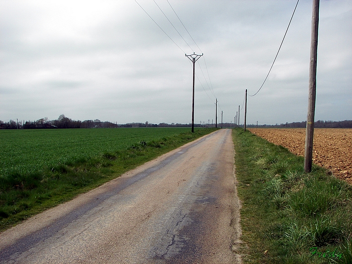 Gisay La Coudre 20090405_004