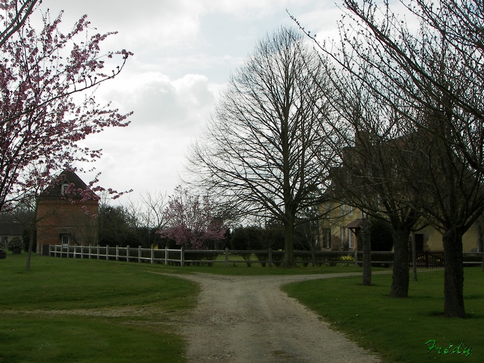 Gisay La Coudre 20090405_029