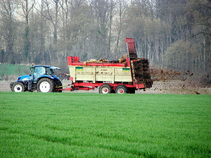 Gisay La Coudre 20090405_041