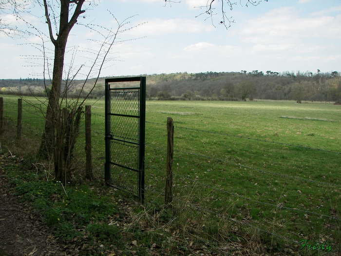 De Dampierre à Acon, Entre Avre et Meuvette 20090406_034