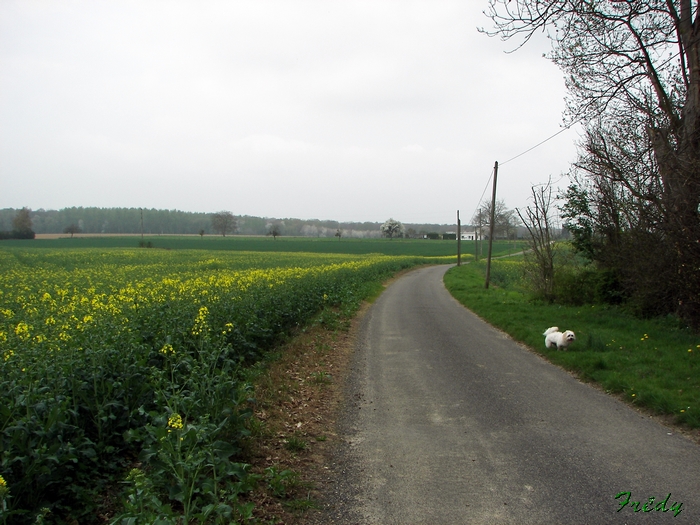 La Mare Saint Lubin 20090413_006