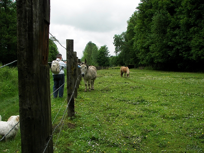 Randonnée interrompue à Amfreville 20090514_012