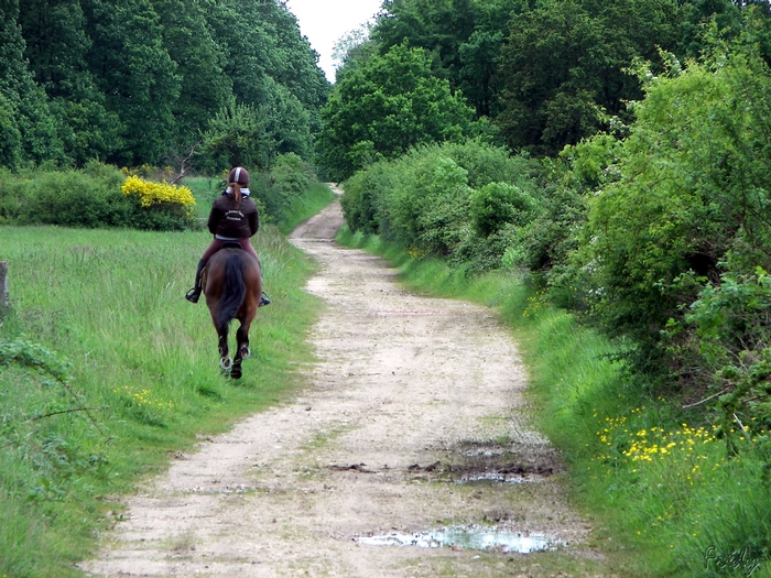 La Vallée Bance, avec OVS 20090516_018