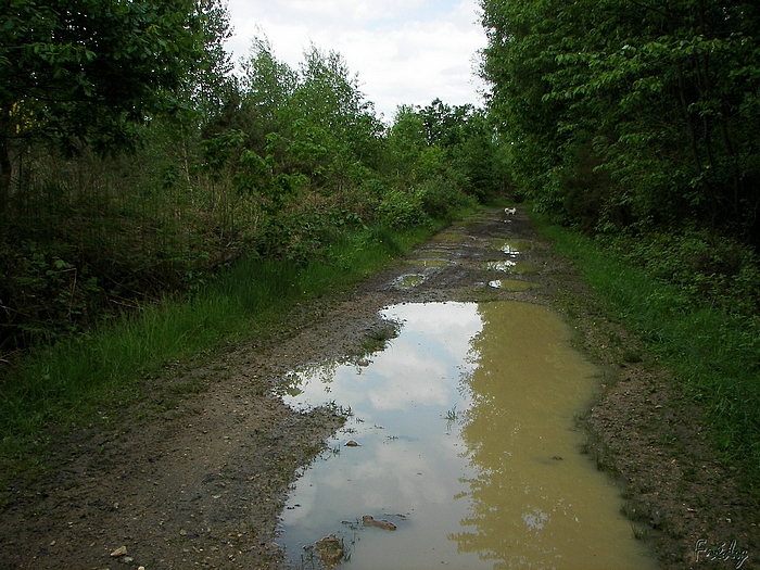 La Vallée Bance, avec OVS 20090516_025