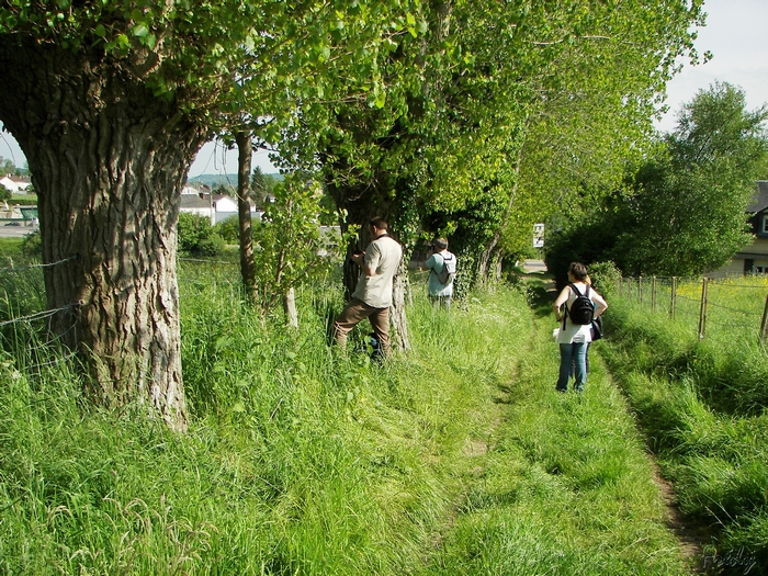 Corneville, avec OVS 20090521_026