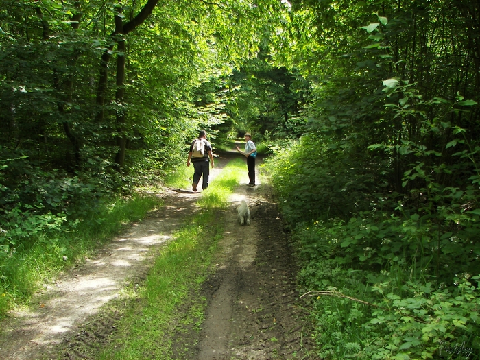 Les Vallons d'Epinay, avec Annie et Danver 20090625_018