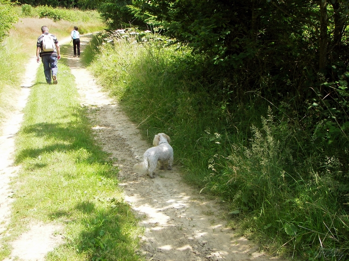 Les Vallons d'Epinay, avec Annie et Danver 20090625_022