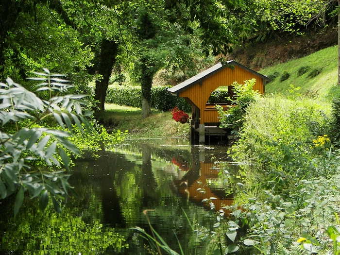 Le lavoir à Le Sacq 20090717_013