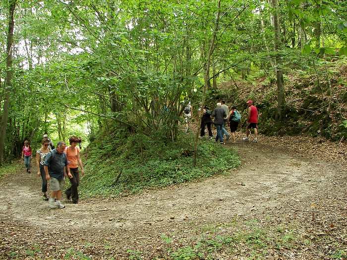 Le Sec Iton, avec OVS et du soleil 20090809_003