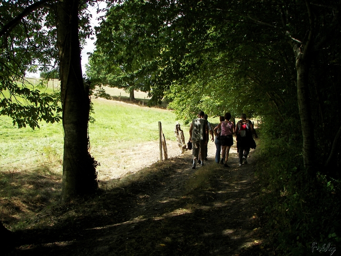 Beaumesnil, avec OVS 20090821_010