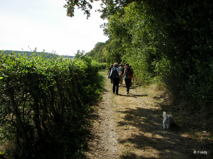 Champignolles, avec OVS 20090911_001