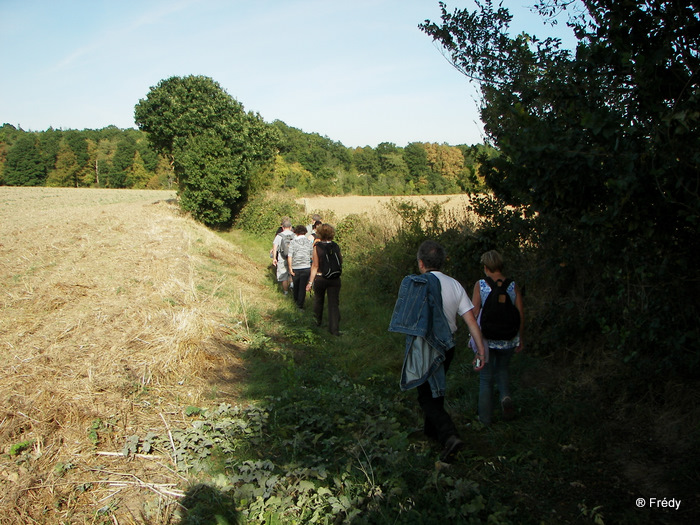 Champignolles, avec OVS 20090911_028