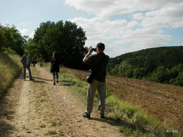 La Vallée de la Taupe, avec OVS 20090912_002