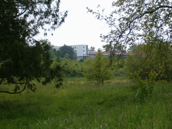 Le château de Chambray 20050515%20062