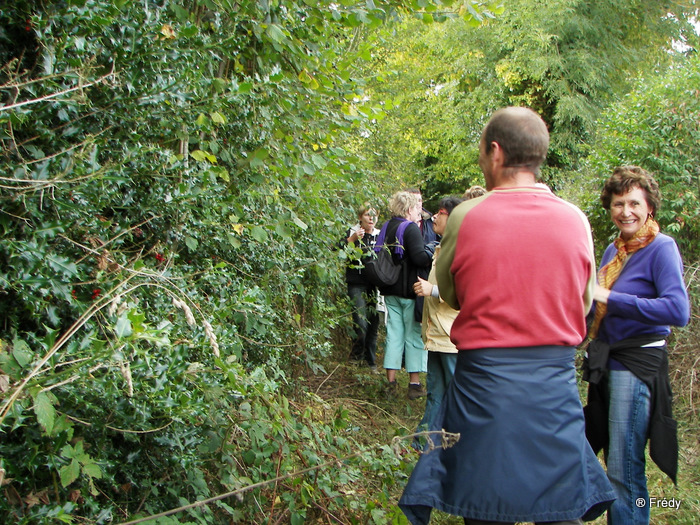 La Vallée du Guiel 20091003_011