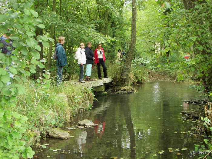 La Vallée du Guiel 20091003_040