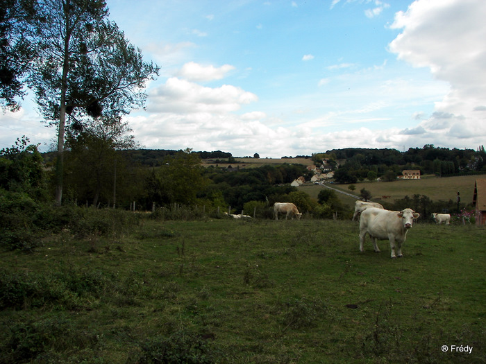 Saint Pierre de Bailleul 20091004_004