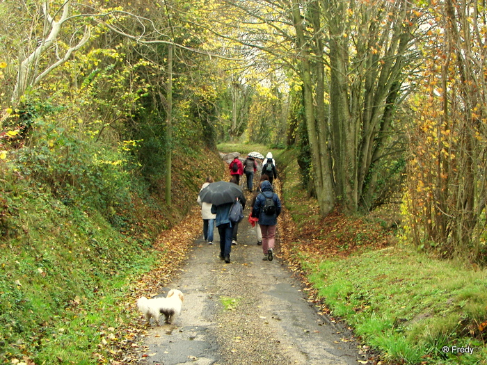 Bailleul La Vallée, le Chemin de l'Abbesse 20091121_014