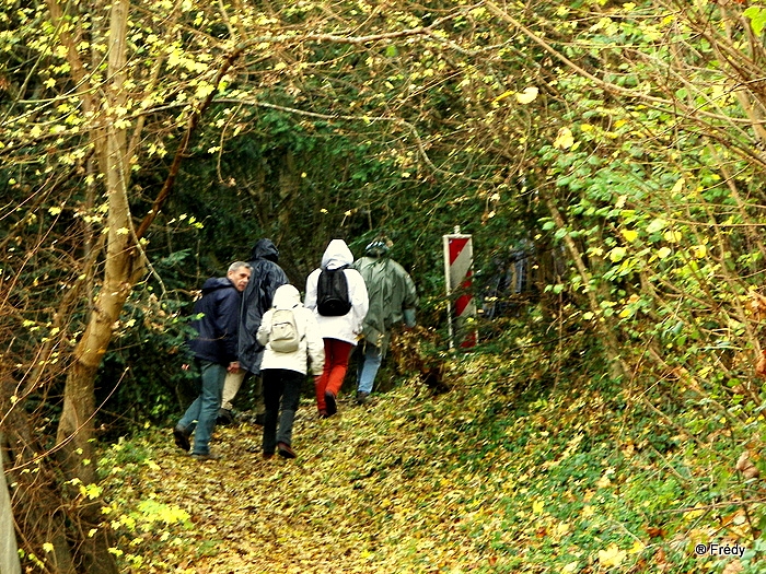 Saint Pierre du Vauvray, sous la pluie. 20091123_003