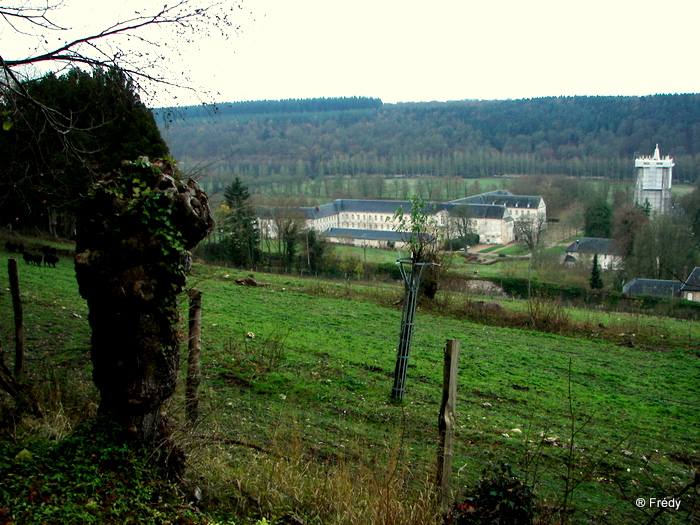 Autour du Bec-Hellouin 20091130_026