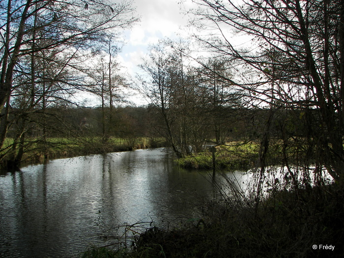 Ferrières Saint Hilaire 20091206_009