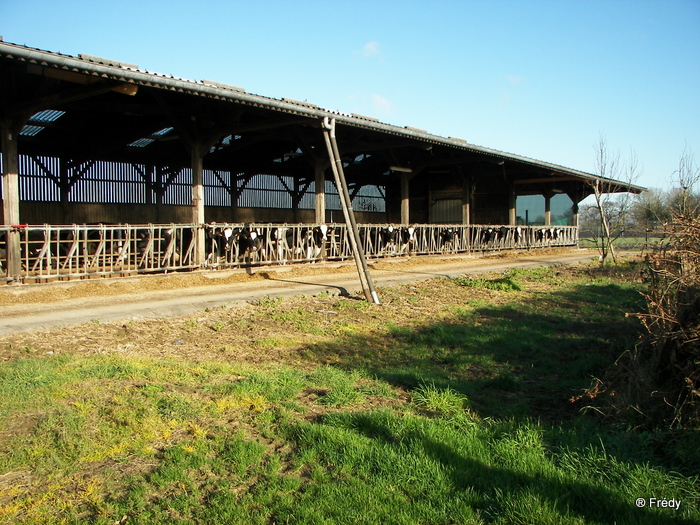 Piencourt, Les Fontaines Paquin 20091211_006