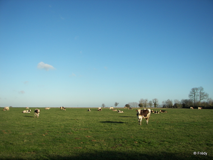 Piencourt, Les Fontaines Paquin 20091211_013