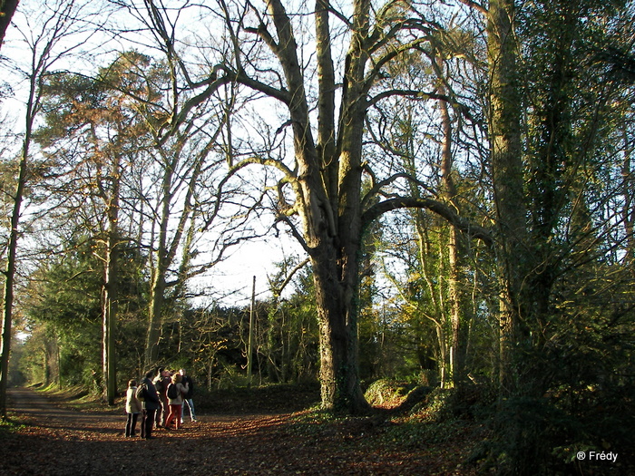 Piencourt, Les Fontaines Paquin 20091211_026