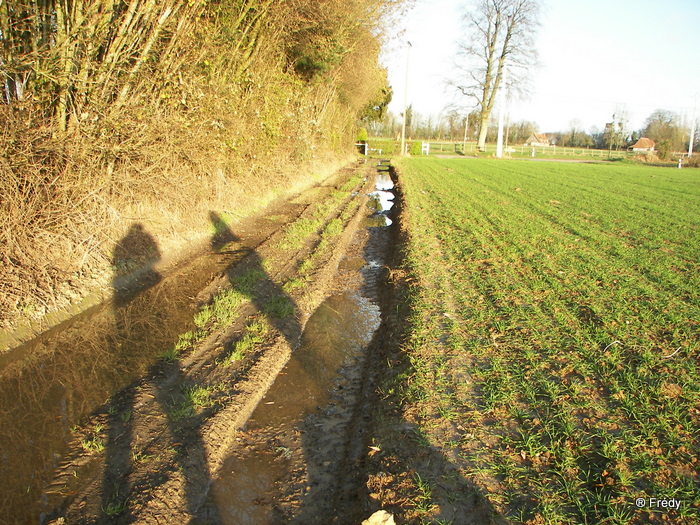 Piencourt, Les Fontaines Paquin 20091211_032