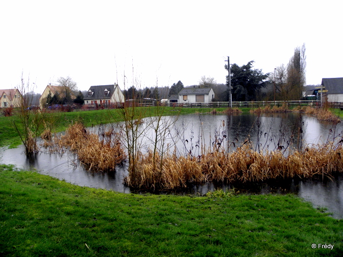 Amfreville, sous la pluie. 20100123_023