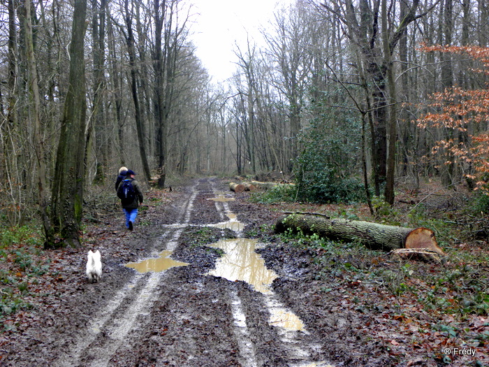 A Hondouville, avec OVS 20100124_014