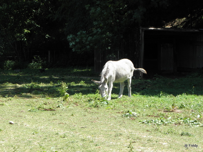 Amfreville Sur Iton 20100707_008