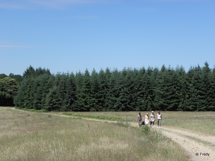 Amfreville Sur Iton 20100707_014