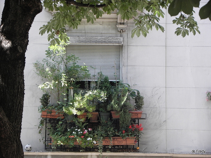 Une journée dans Paris 20100711_016