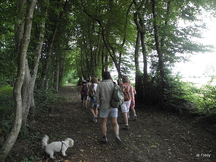 Le Champ de Bataille 20100712_002