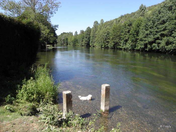 Entre Acquigny et Heudreville 20100728_008