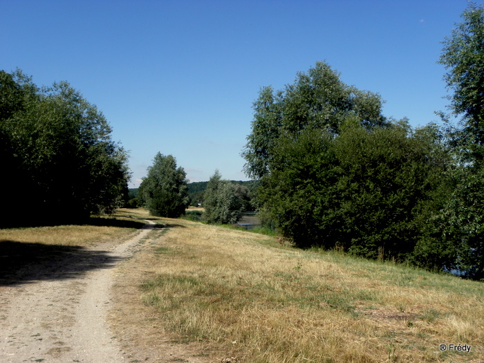 Entre Acquigny et Heudreville 20100728_011