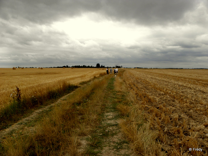 Bervile La Campagne 20100804_003