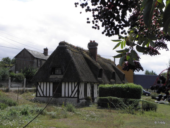 Brionne, musée de la poupée 20100811_003