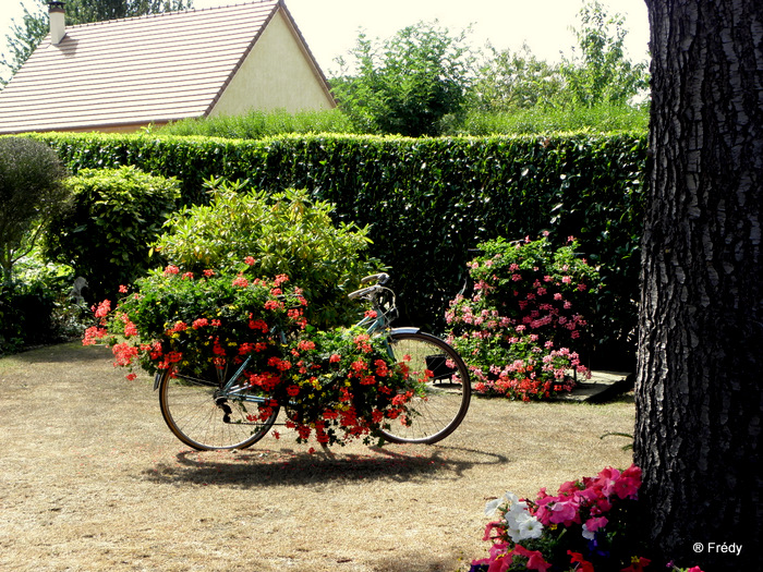 Brionne, musée de la poupée 20100811_015