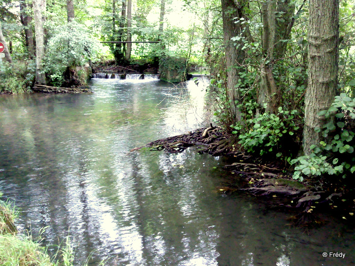 Vallée du Guiel 20100906_004