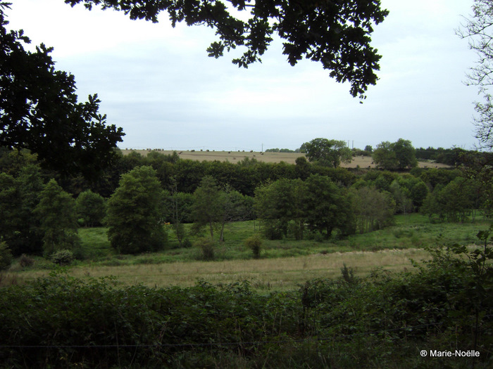 Vallée du Guiel 20100906_007