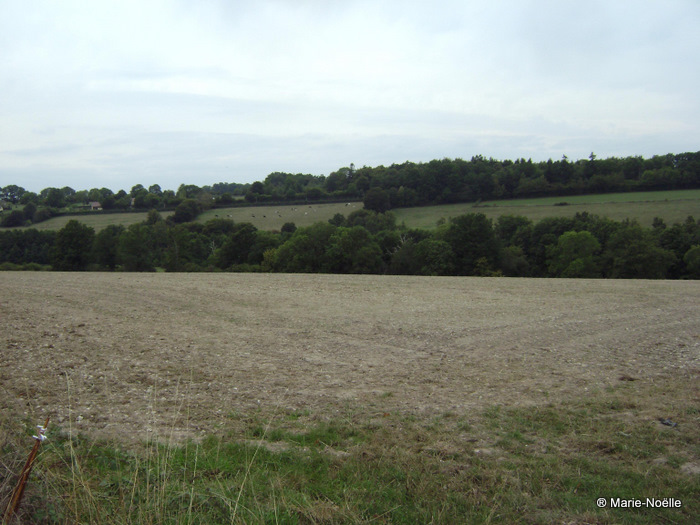 Vallée du Guiel 20100906_017