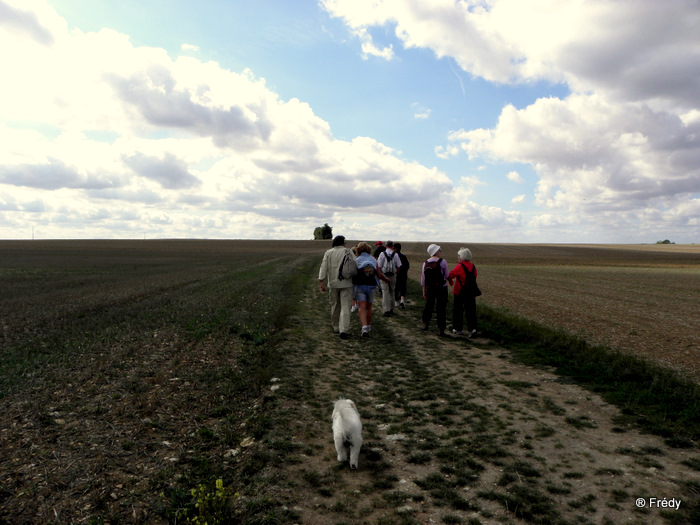 Chanu, le sillon des agriculteurs 20100910_007