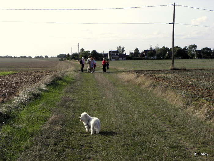 Chanu, le sillon des agriculteurs 20100910_036