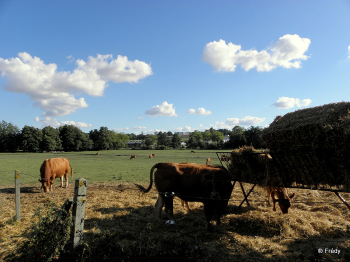 Gouville, Condé Sur Iton et le Château de Chambray 20100912_022