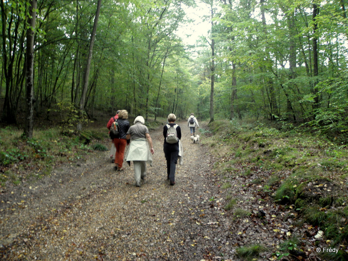 En forêt d'Evreux 20101004_024