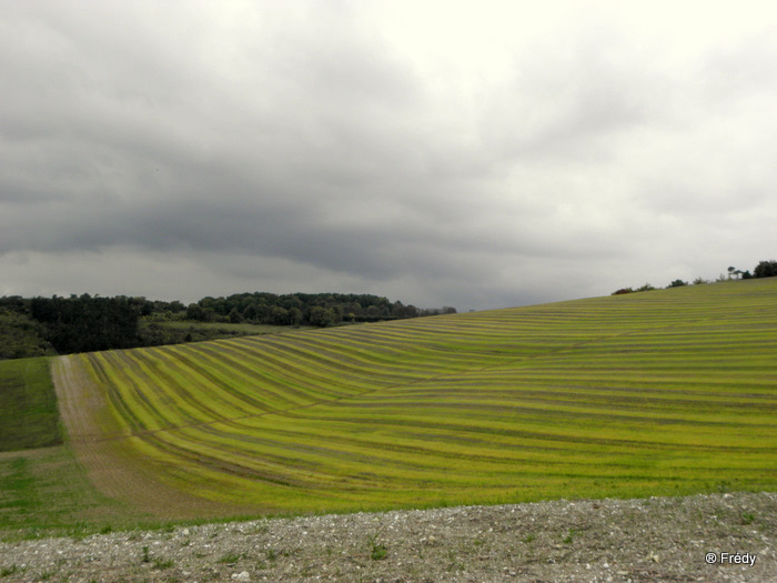 Cailly sur Eure 20101015_009